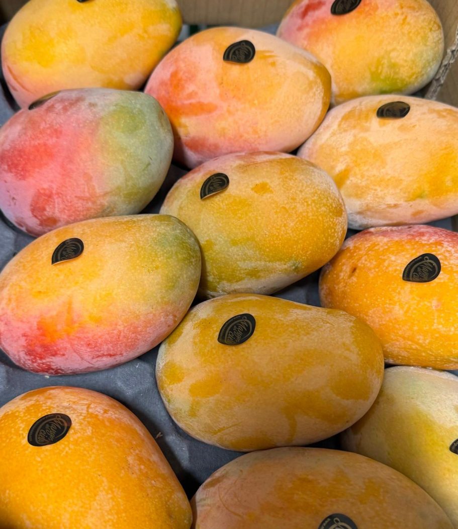 fruit