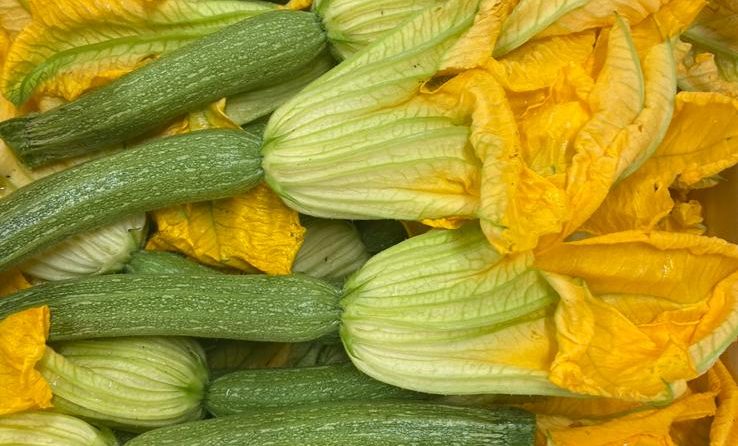 légume